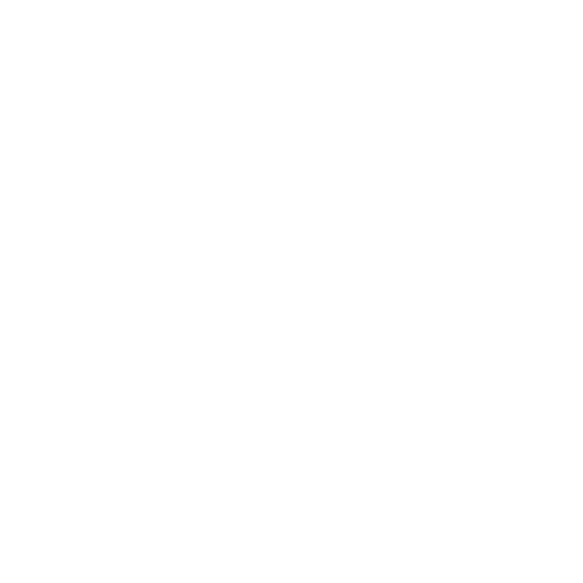 discount icon