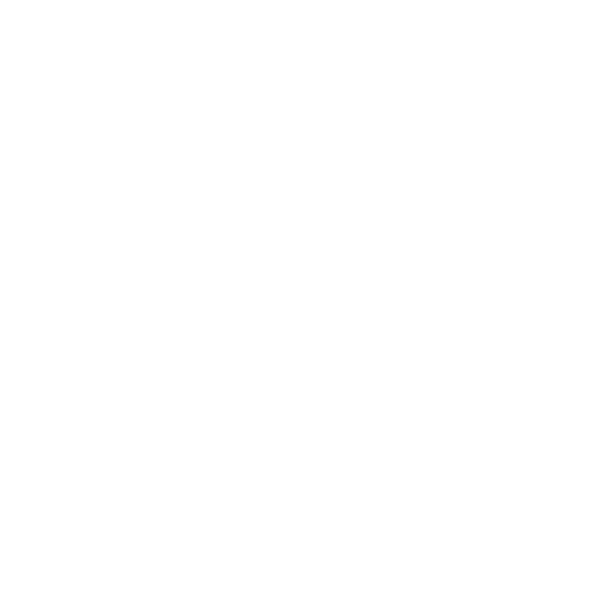 celebration icon